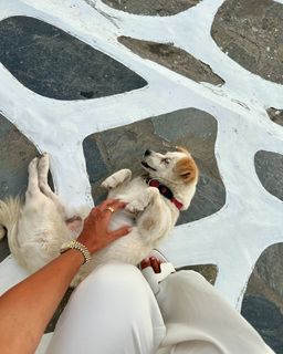 Kady McDermott feet photo thumbnail