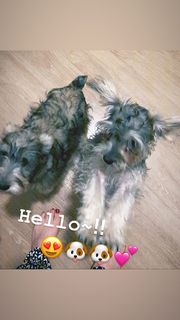 Kairi Hôjô feet photo thumbnail