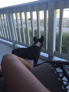 Kaitlyn Chookagian feet photo 16