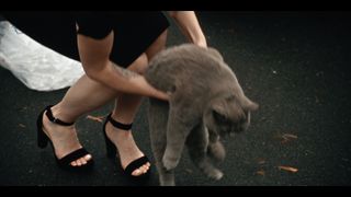 Kaitlyn Dever feet photo 4