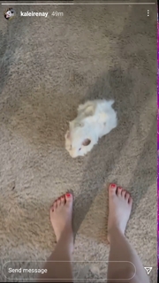 Kalei Renay feet photo 18
