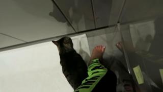 Kalel Cullen feet photo 7