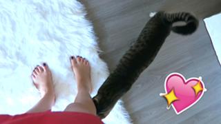 Kalel Cullen feet photo 20