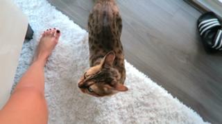 Kalel Cullen feet photo 19