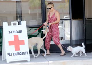 Kaley Cuoco feet photo thumbnail