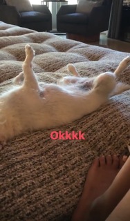 Kaley Cuoco feet photo thumbnail
