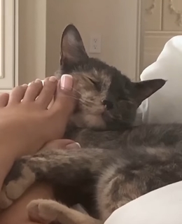 Kali Uchis feet photo thumbnail