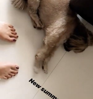 Kalyani Priyadarshan feet photo thumbnail