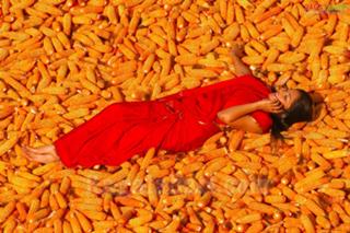 Kamalinee Mukherjee feet photo 2