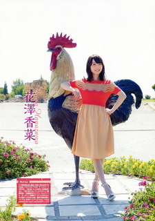 Kana Hanazawa feet photo 18