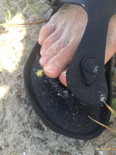 Kanako Urai feet photo thumbnail