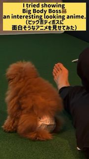 Kanako Urai feet photo 2