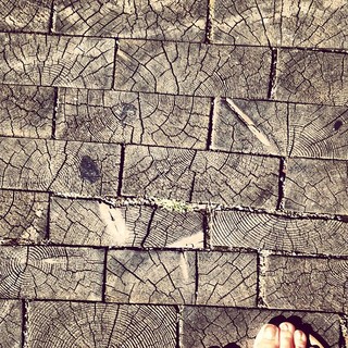 Kaniehtiio Horn feet photo 10