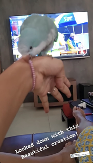Kaniha feet photo thumbnail