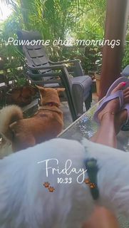 Kaniha feet photo 5