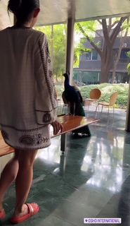 Kanika Mann feet photo thumbnail