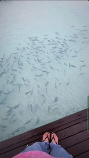 Kanika Mann feet photo thumbnail