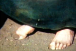 Karen Grassle feet photo 3