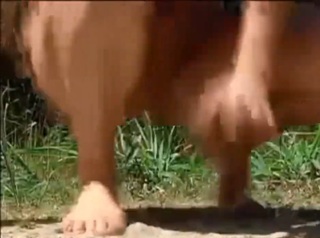 Karen Junqueira feet photo 9