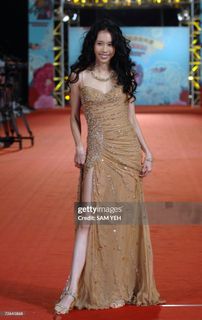 Karen Mok feet photo 5