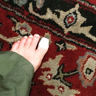 Kari Lake feet photo 3