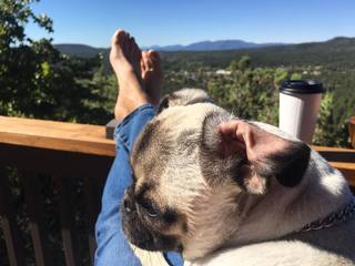 Kari Lake feet photo 2