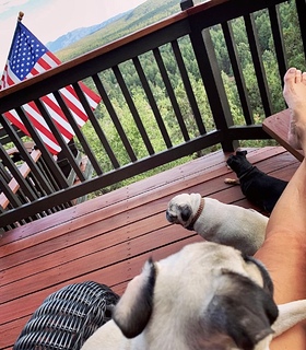 Kari Lake feet photo 4