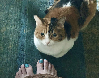 Kari Wahlgren feet photo 17