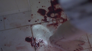 Kari Wuhrer feet photo thumbnail