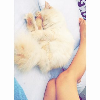 Karina Campos feet photo 20