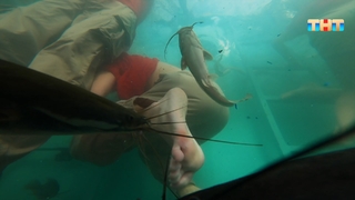 Karina Kross feet photo 11