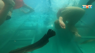 Karina Kross feet photo 2