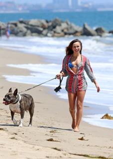 Karina Smirnoff feet photo thumbnail