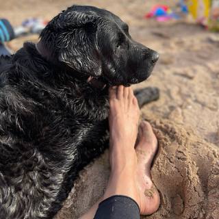 Karine Ferri feet photo thumbnail