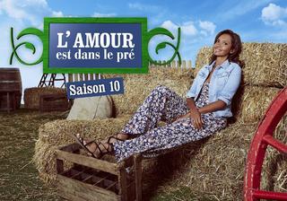 Karine Le Marchand feet photo 5