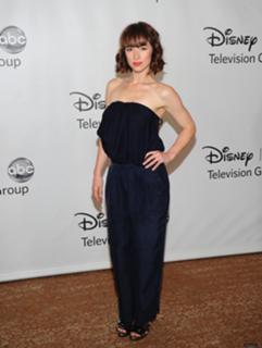 Karine Vanasse feet photo 8