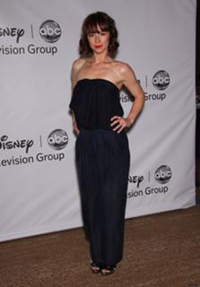 Karine Vanasse feet photo 7