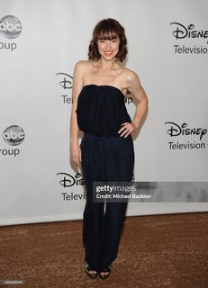 Karine Vanasse feet photo 20