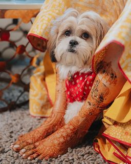 Karishma Tanna feet photo thumbnail