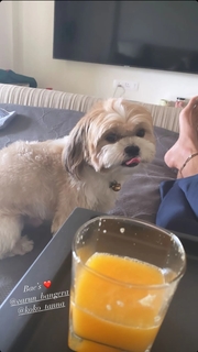 Karishma Tanna feet photo thumbnail