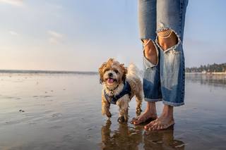 Karishma Tanna feet photo thumbnail