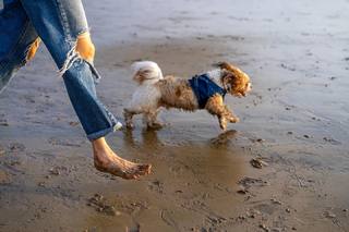 Karishma Tanna feet photo thumbnail