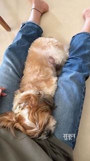 Karishma Tanna feet photo thumbnail