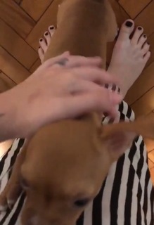 Karol Queiroz feet photo 6
