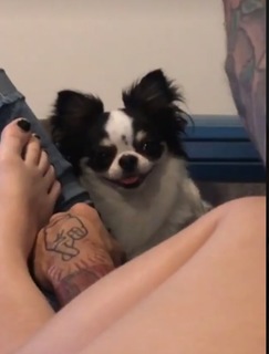 Karol Queiroz feet photo 18