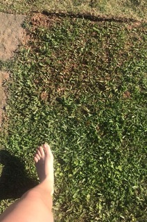 Karol Queiroz feet photo 3