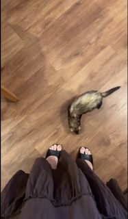 Karol Queiroz feet photo 11