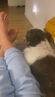 Karolina Kowalkiewicz feet photo thumbnail