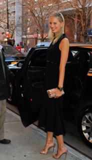 Karolina Kurkova feet photo thumbnail