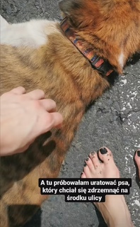 Karolina Pisarek feet photo thumbnail